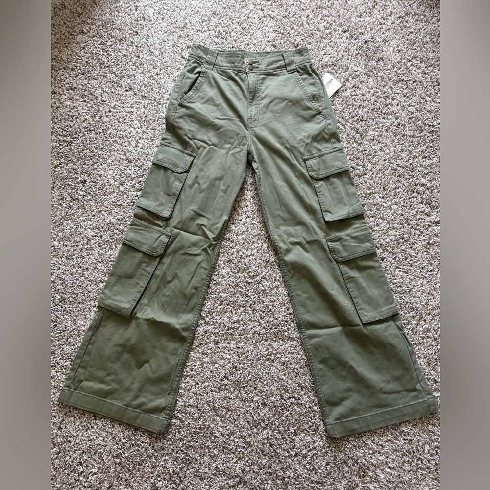 Arizona Jean Company Utility Cargo Pants in Lichen Green